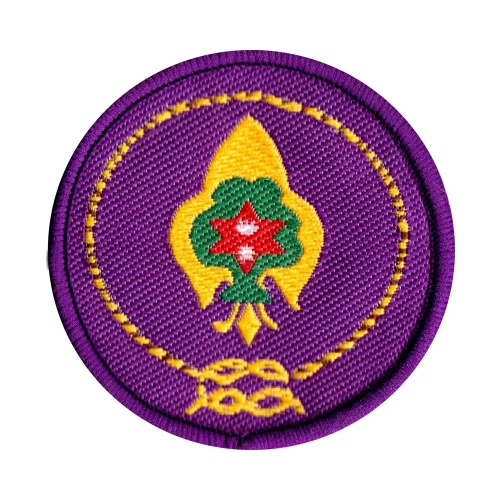 commissioner-badge-cb45